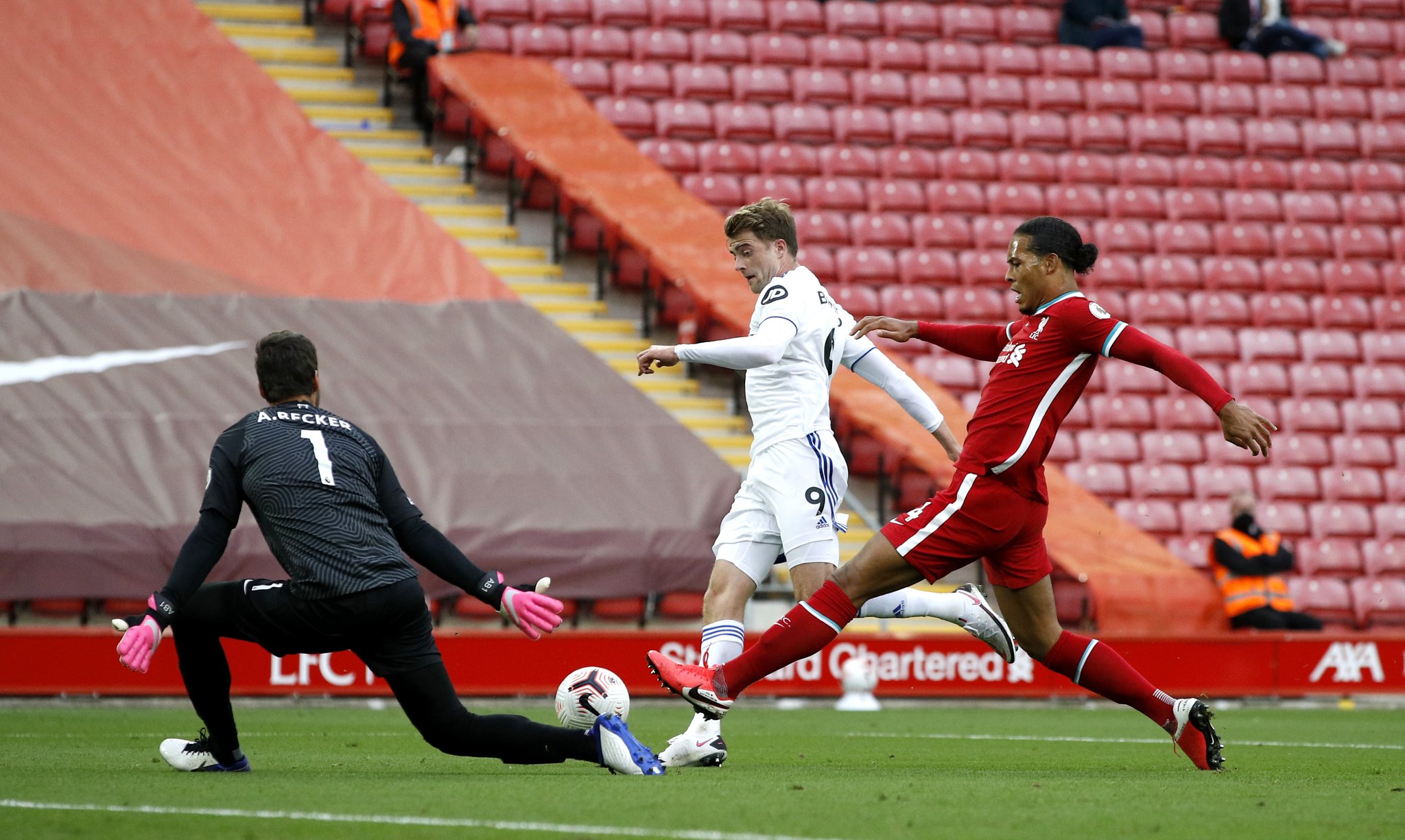 新崛起的象 新崛起的象