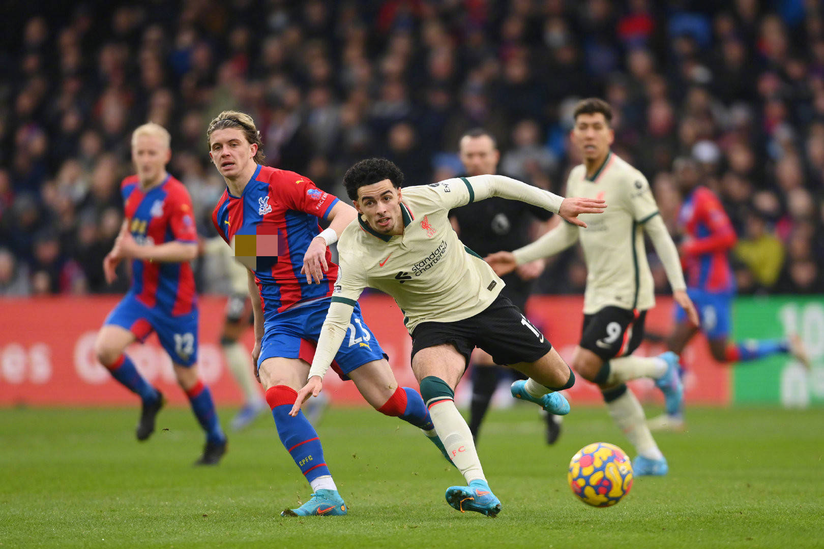 还因他能够 还因他能够